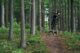LEATTs 2025er MTB Look & Feel